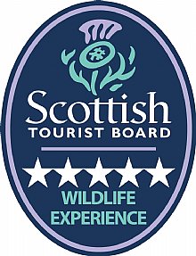 Visit Scotland - 5 star Wildlife Experience