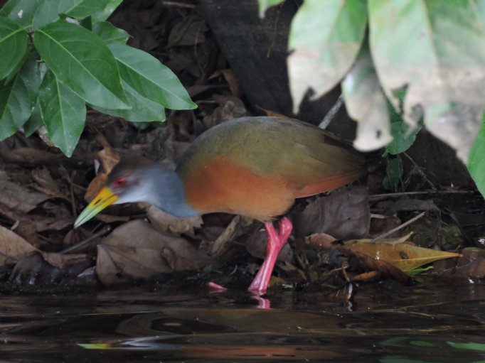 Northern Peru 